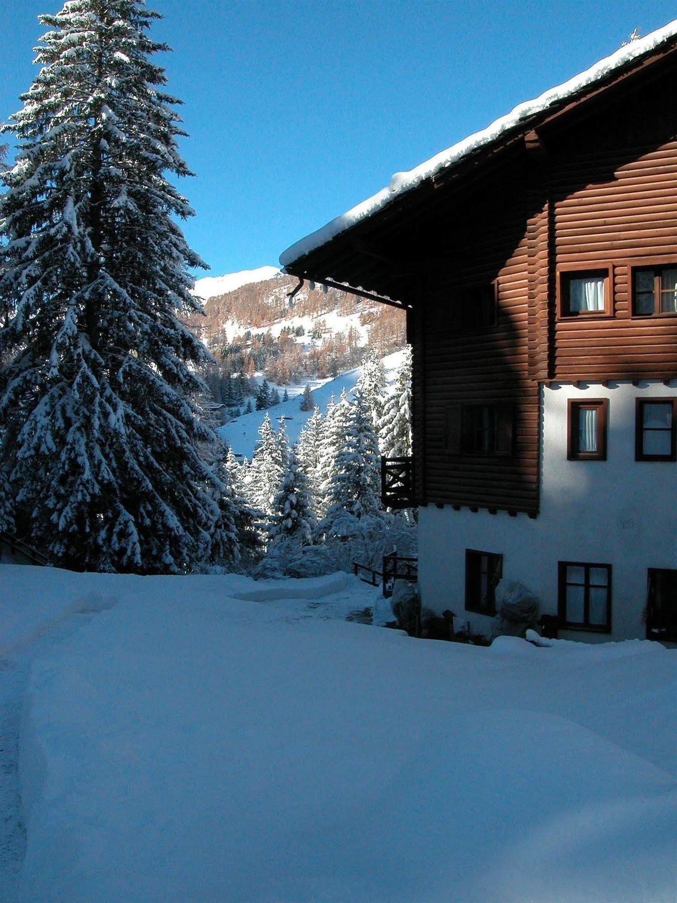 Albergo Villa Anna Maria Champoluc Kültér fotó