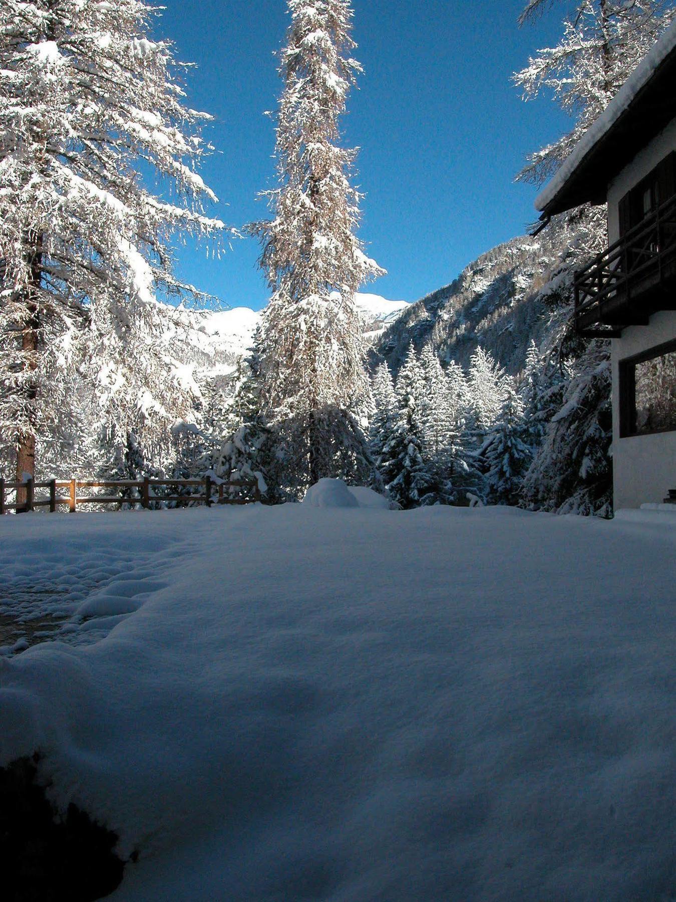 Albergo Villa Anna Maria Champoluc Kültér fotó
